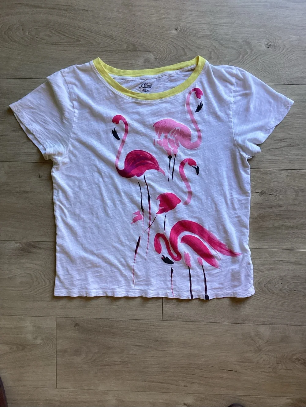 Bundle of 7 J Crew women’s Large T-Shirts